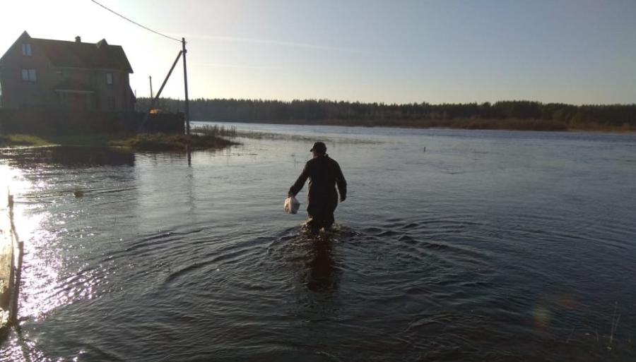 «Вплавь за хлебушком»: уровень воды в Тверце не спадает 