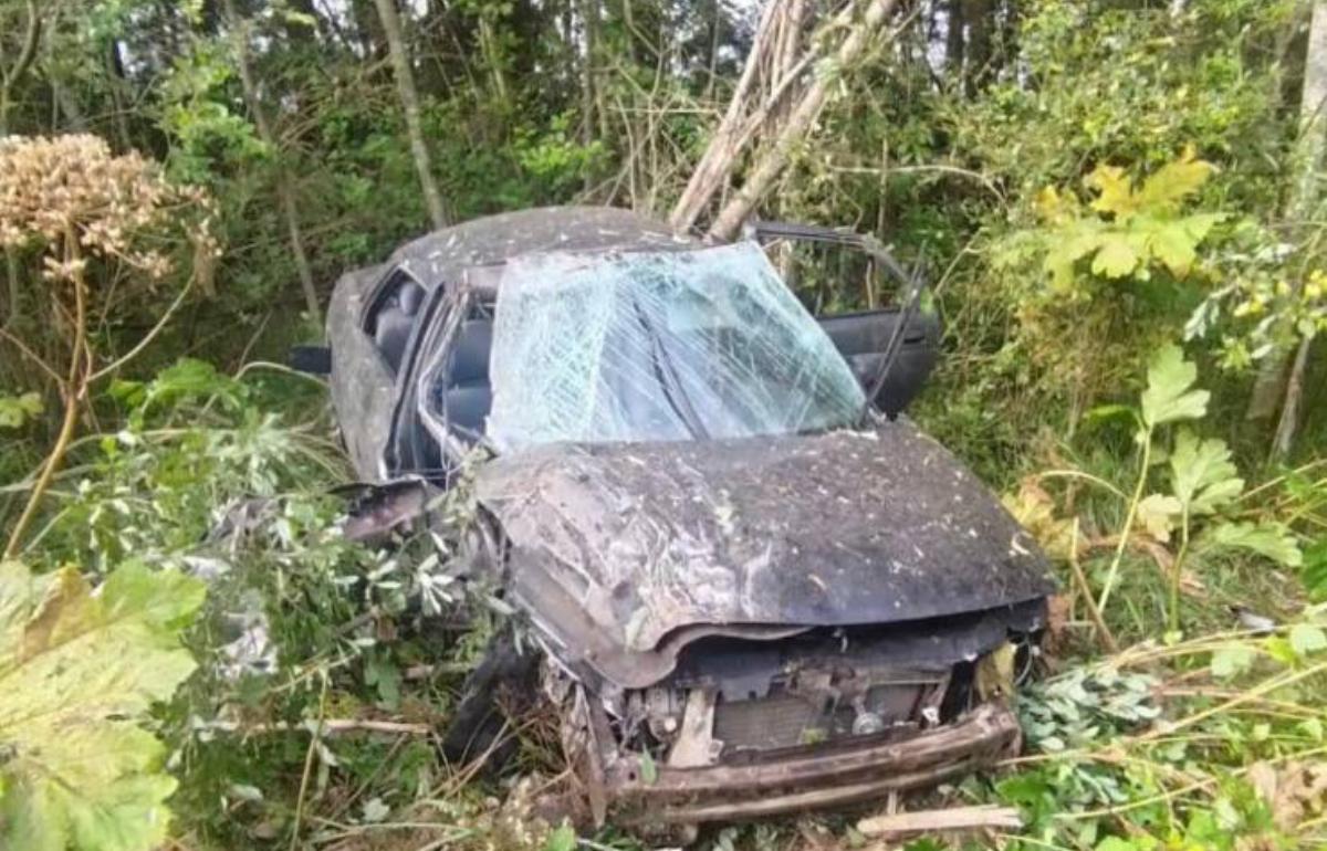 В ДТП с ВАЗ и УАЗ в Тверской области пострадали три человека - новости Афанасий