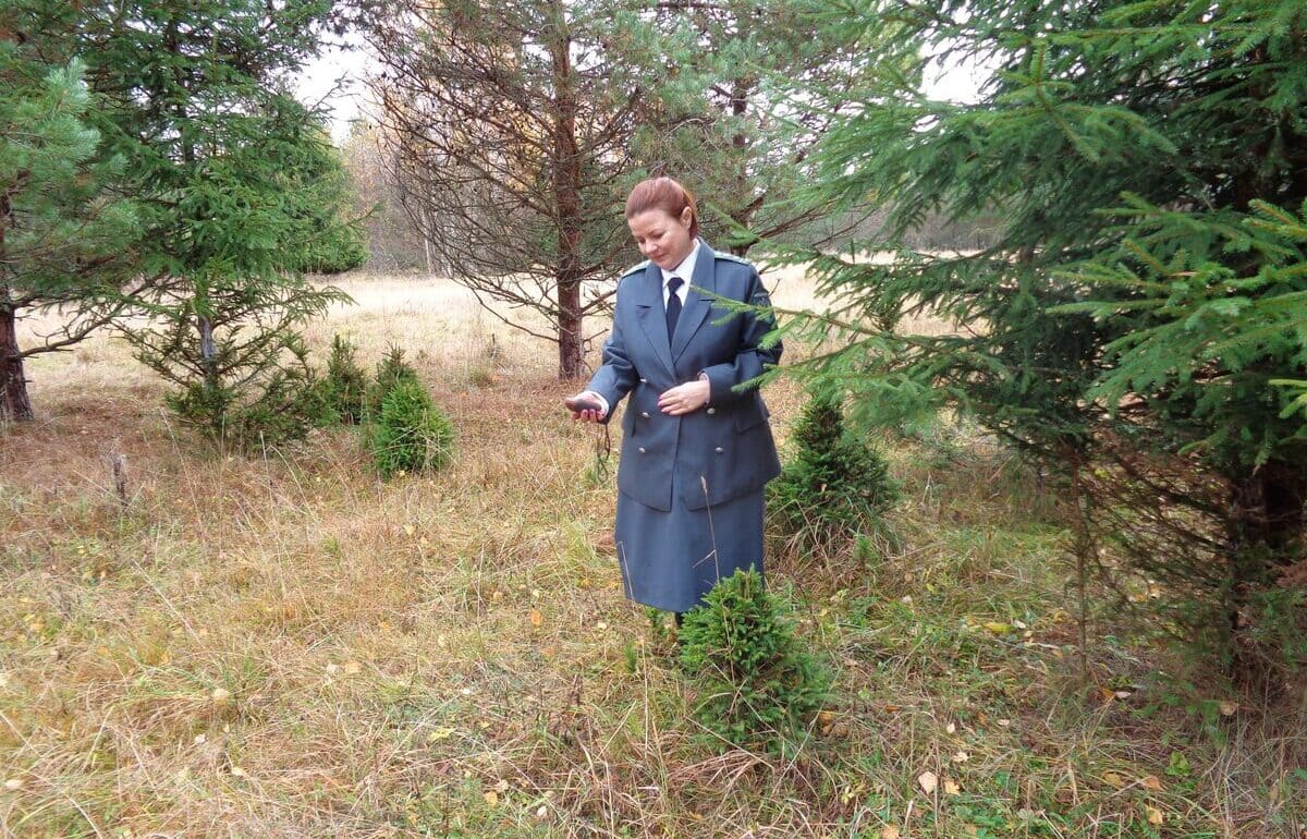 В Тверской области по суду изымут у собственника 19 га неиспользуемой пашни - новости Афанасий