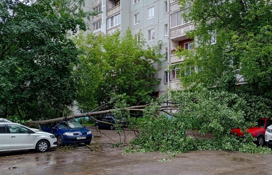 В Твери на 23% превышена месячная норма осадков Фото: 
ПУВТ