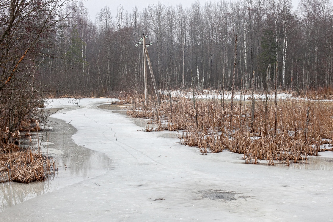 Тверские энергетики готовятся к прохождению  паводка Фото: Диана Журавлева