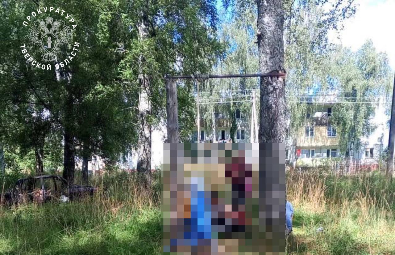 В Старице в связи гибелью ребенка на качелях возбуждено уголовное дело - новости Афанасий