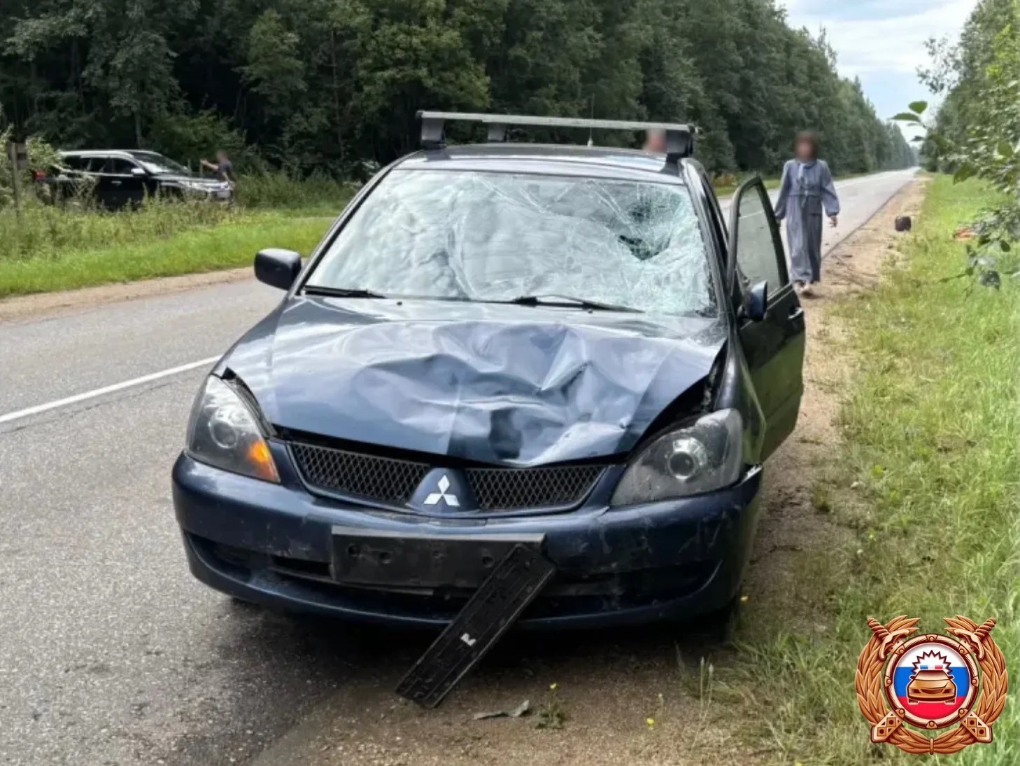 Водитель мопеда погиб в Селижаровском округе Фото: Управление Госавтоинспекции по Тверской области
