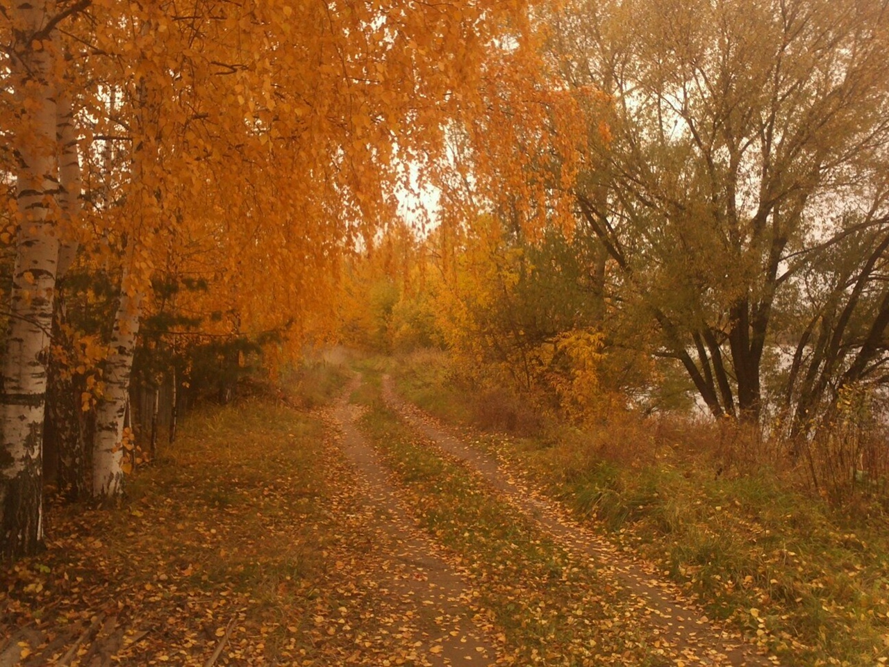 Погода в Твери сегодня обещает +20 и без дождя Фото: архив редакции