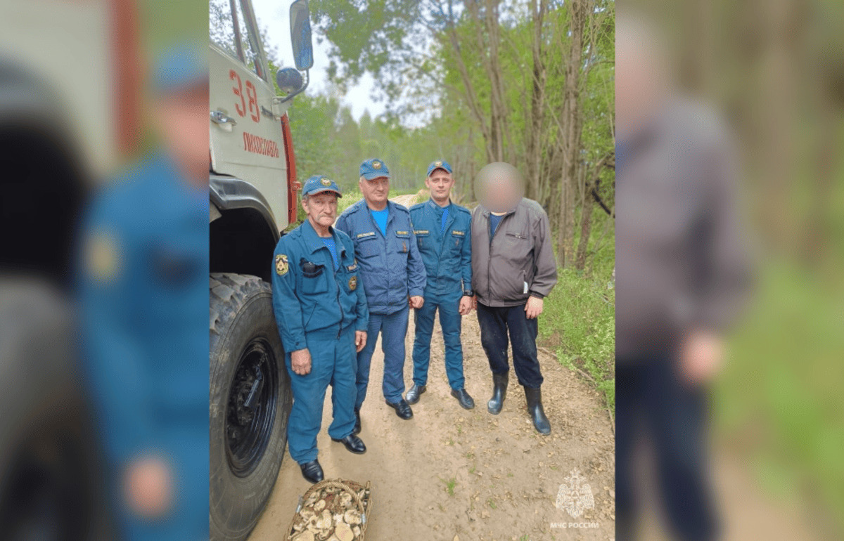 Спасатели МЧС в Тверской области вместо грибов нашли грибника  - новости Афанасий
