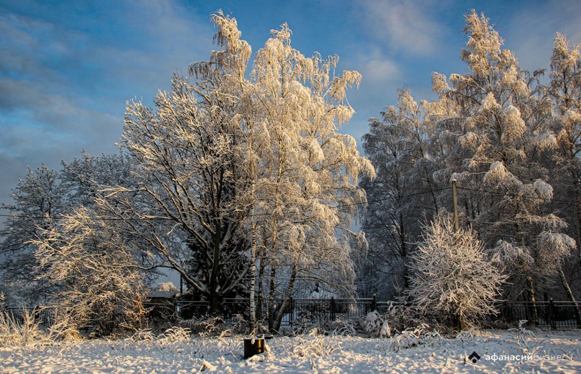 В Тверской области ночью температура опускалась ниже -23 градусов