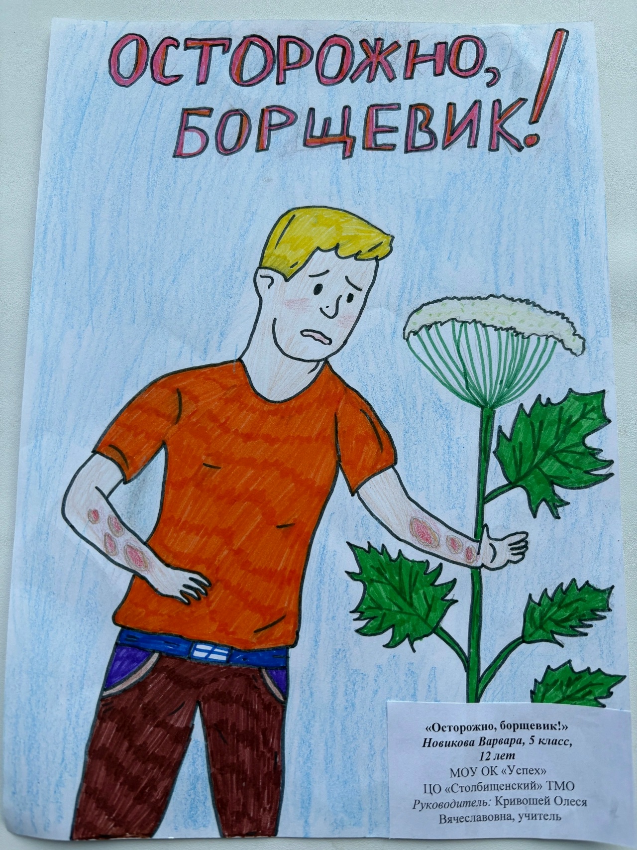 Работы тверских школьников представлены на выставке «Осторожно, борщевик!» Иллюстрация на главной: Россельхознадзор