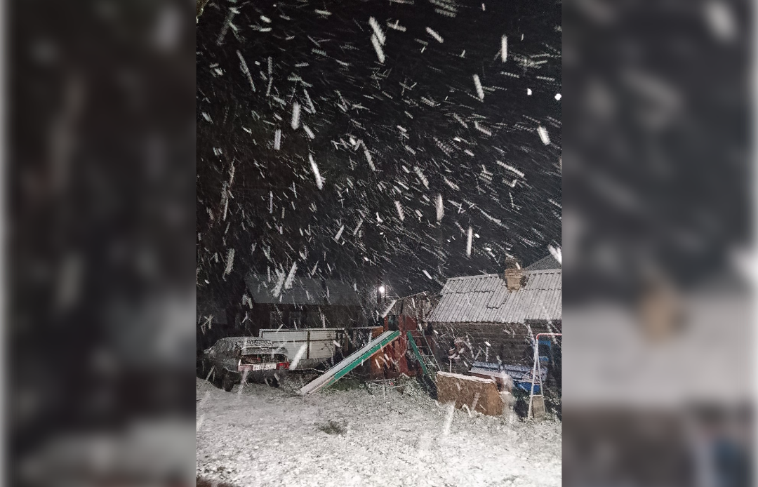 В Тверской области выпал первый снег 