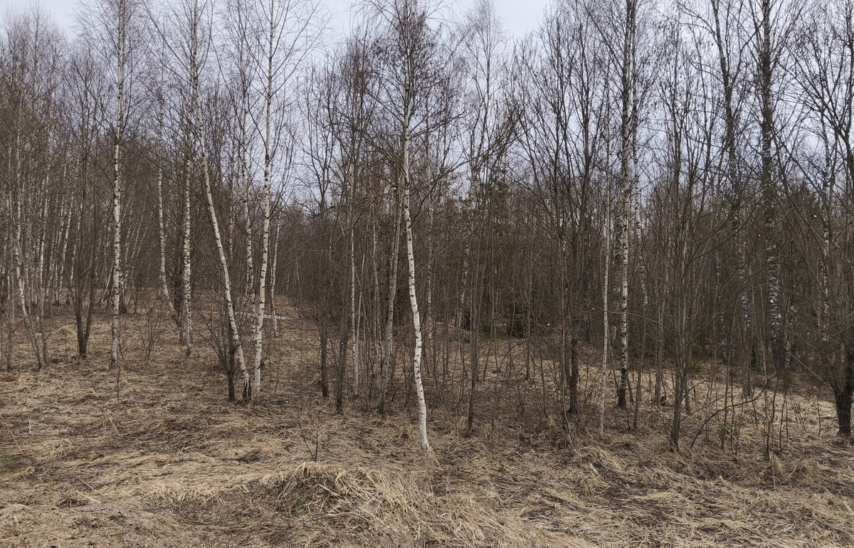 Землевладельцу предложено ввести в оборот 20 га сельхозугодий