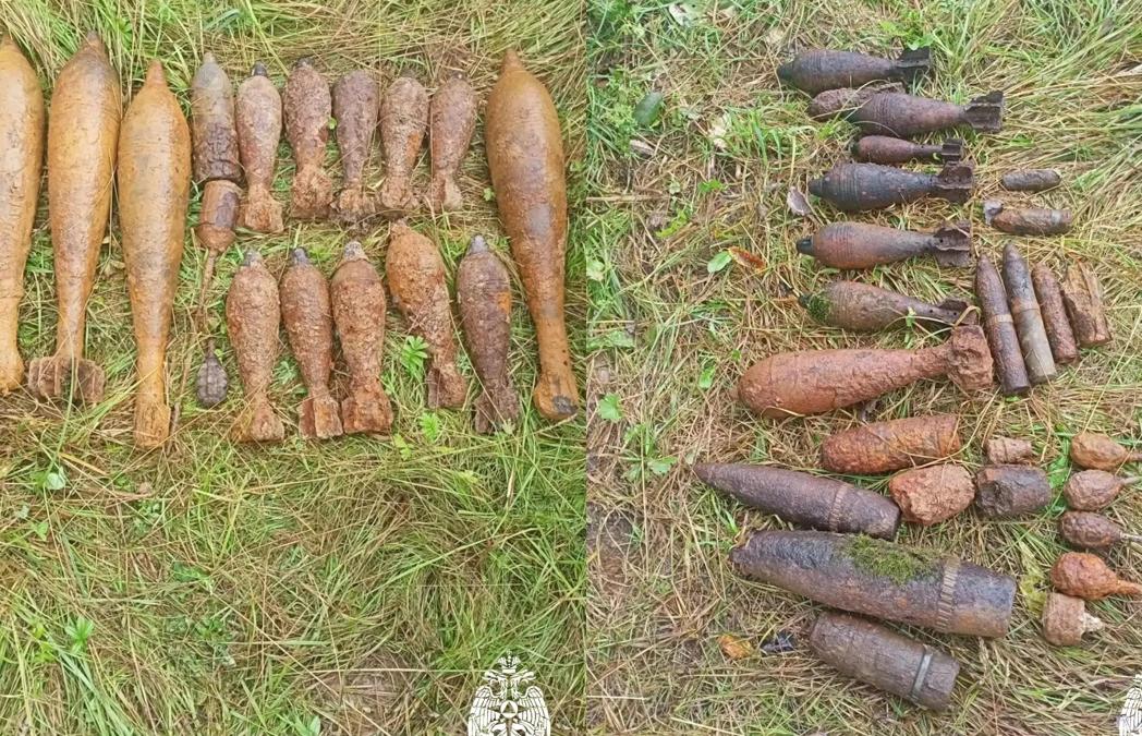 Взрывотехники МЧС под Зубцовом нашли и обезвредили целый арсенал времен войны - новости Афанасий