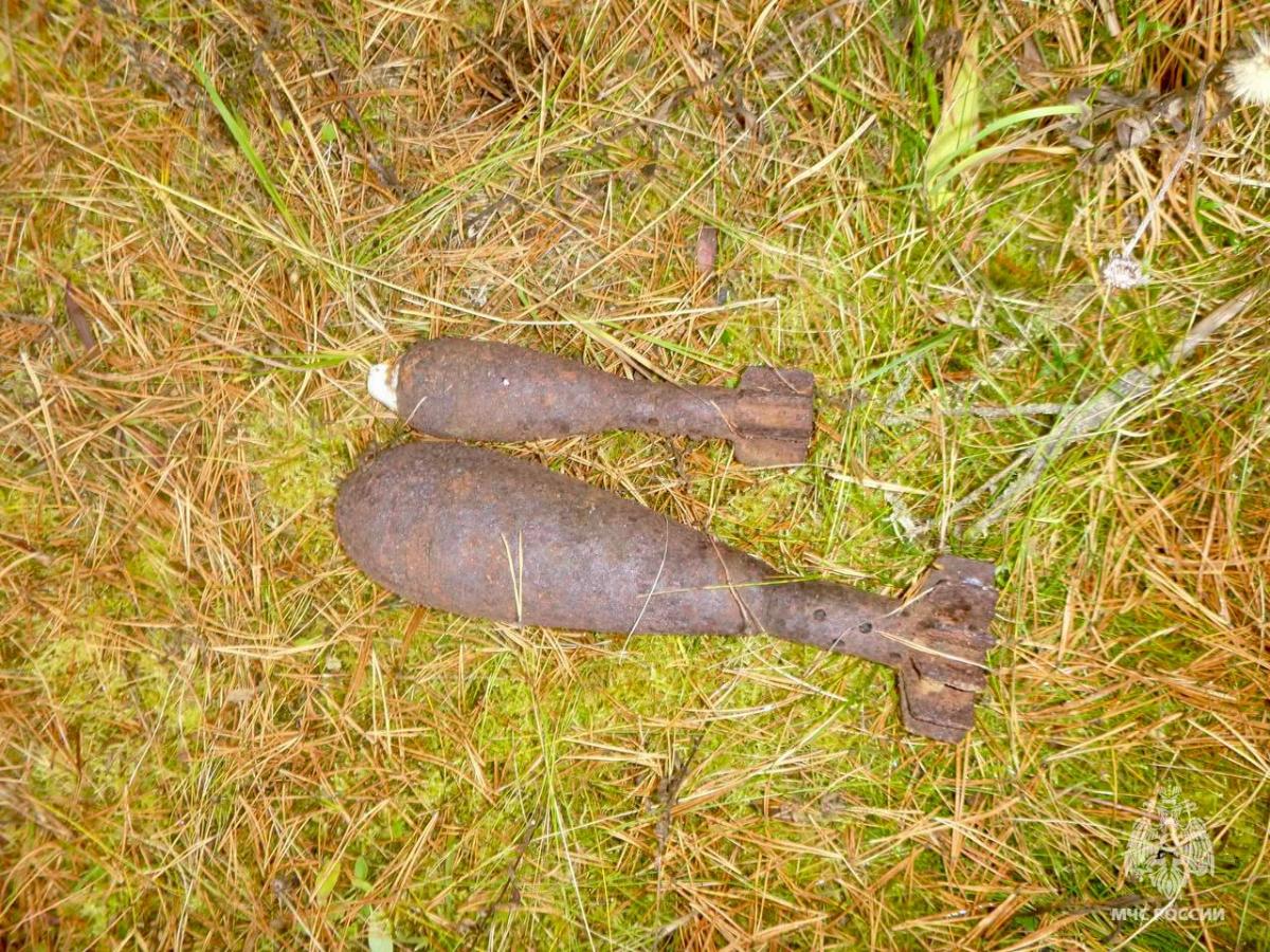 В Тверской области обезвредили 24 боеприпаса времен войны Фото: МЧС Тверской области