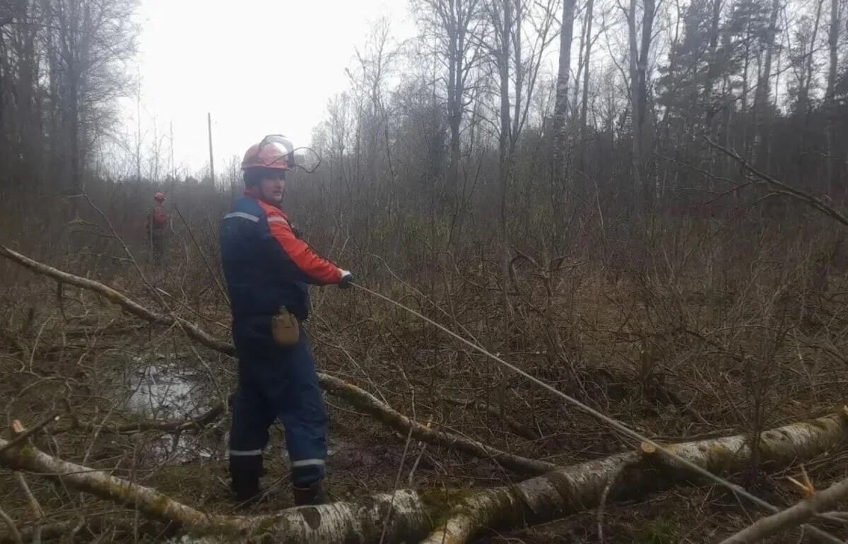 Восстановление электроснабжения находится под личным контролем Виталия Королева Фото: пресс-служба Россети Центр