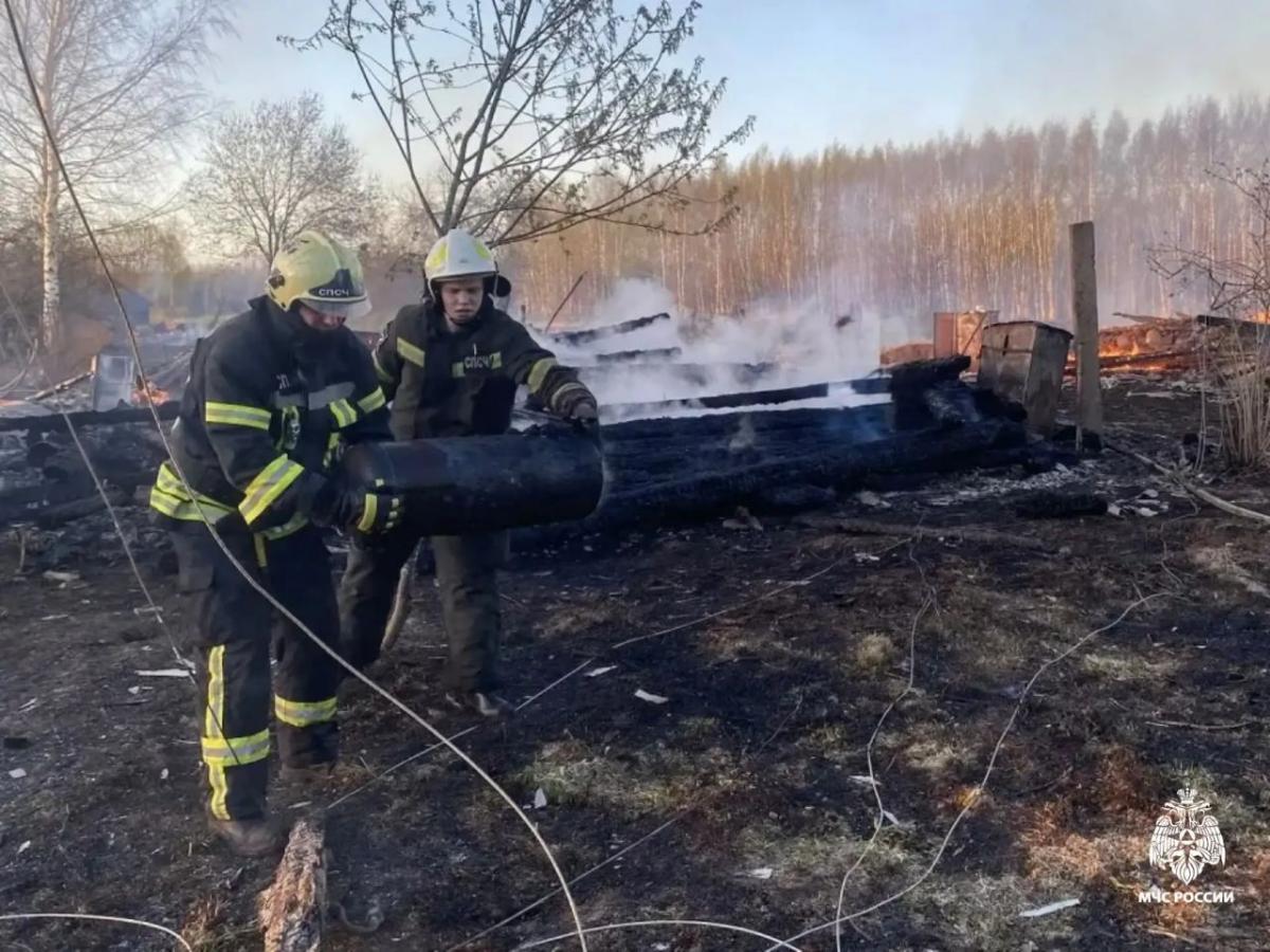 Названа причина пожара, уничтожившего девять строений под Максатихой Фото: МЧС