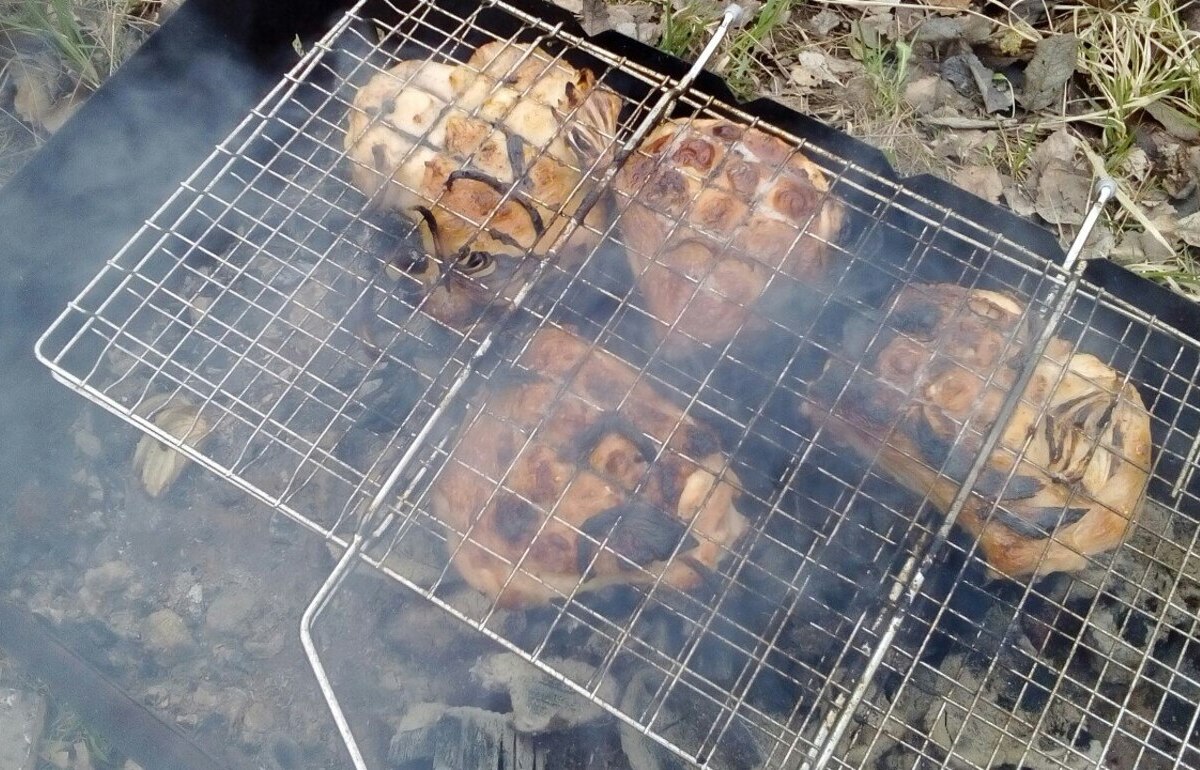 Дачникам грозит штраф до 15 тыс рублей за неправильное использование мангала Фото: архив редакции