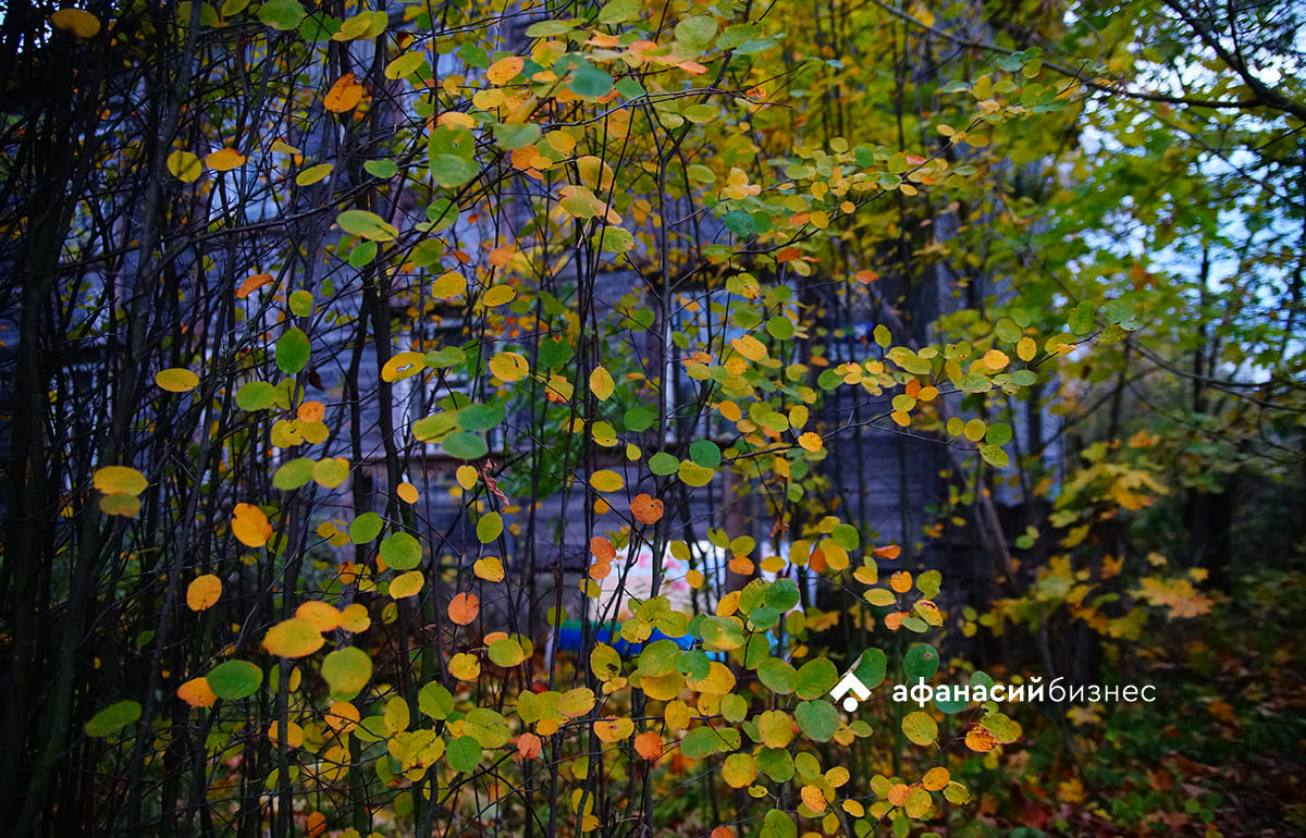 Прогноз погоды в Твери обещает похолодание и потепление Фото: Afanasy.biz