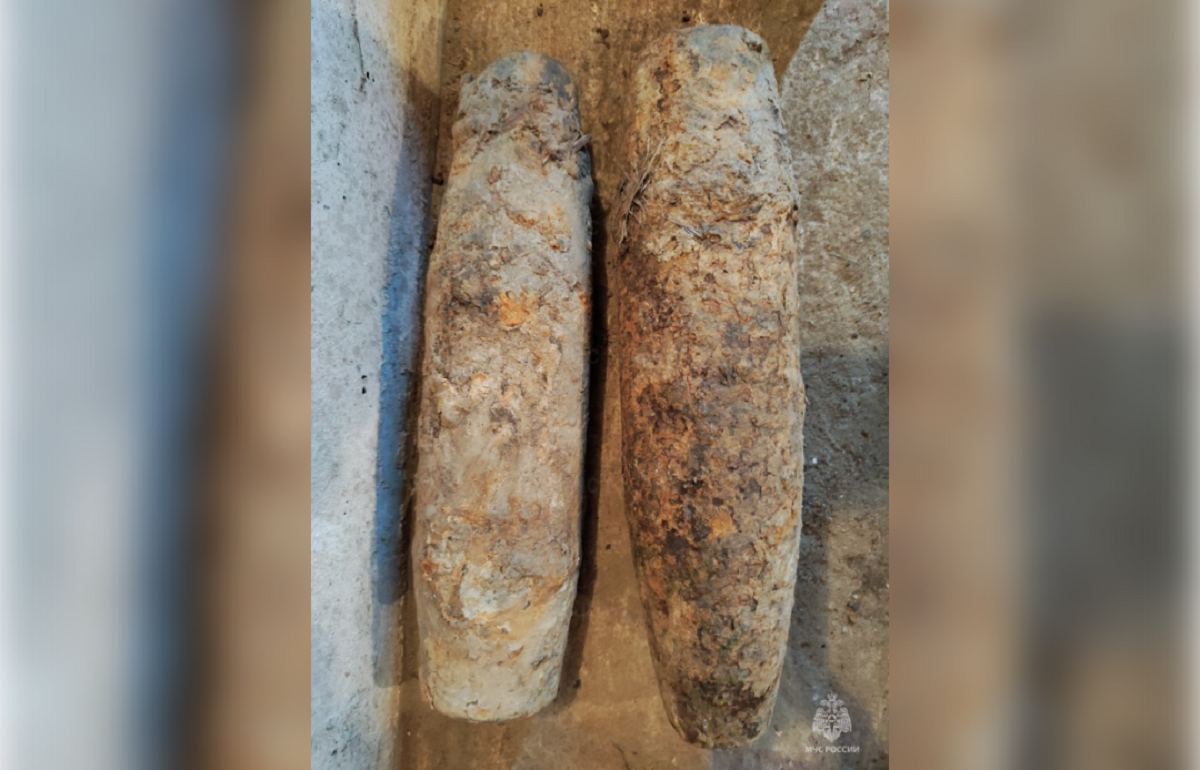 В Бологовском районе нашли три снаряда и мину Фото: МЧС по Тверской области