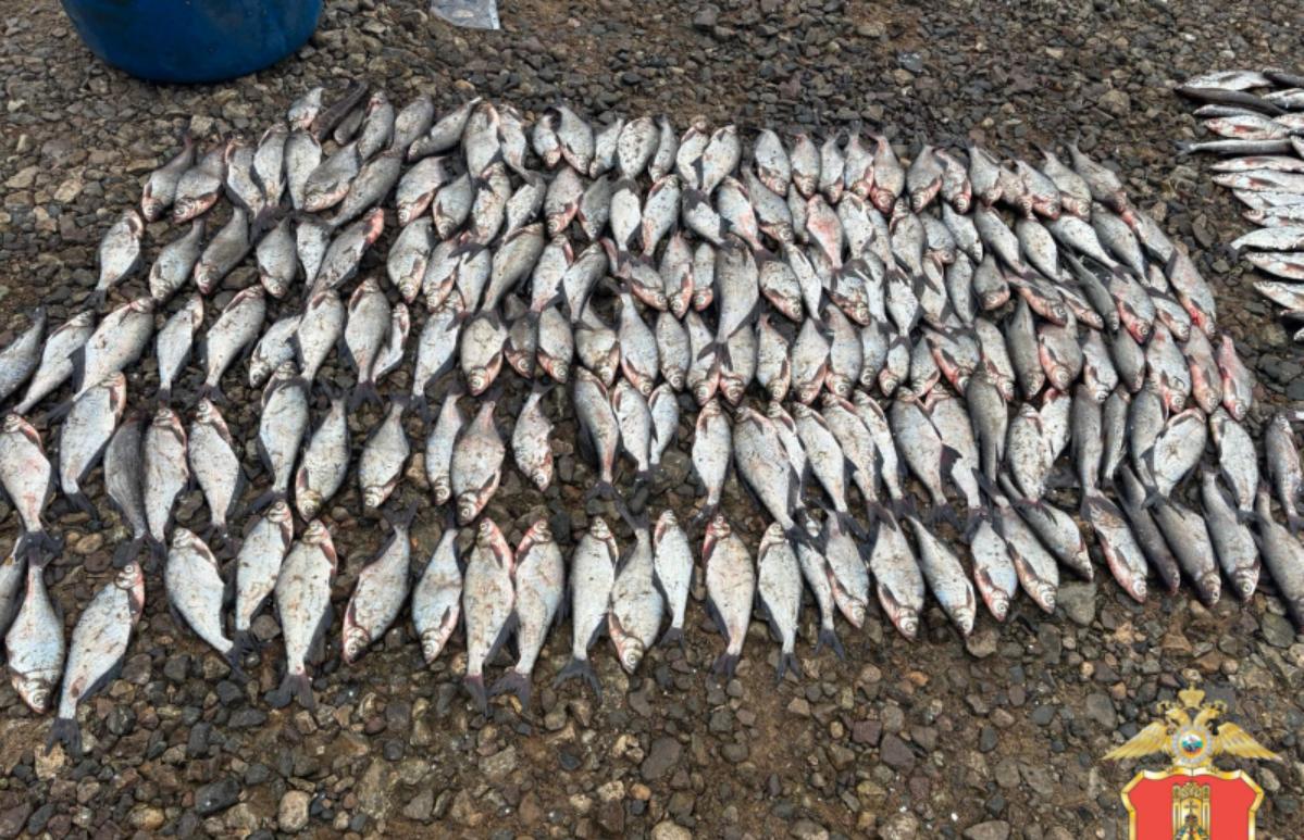 Задержан браконьер, что на реке Молога в Тверской области выловил около 2000 рыб - новости Афанасий