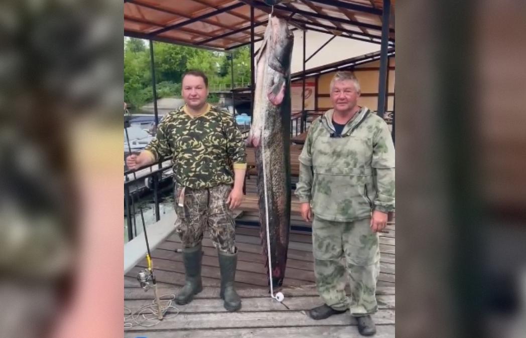 100-килограммового сома поймали рыбаки в Весьегонске Тверской области Видео: 
Отель «Александровский Причал»
