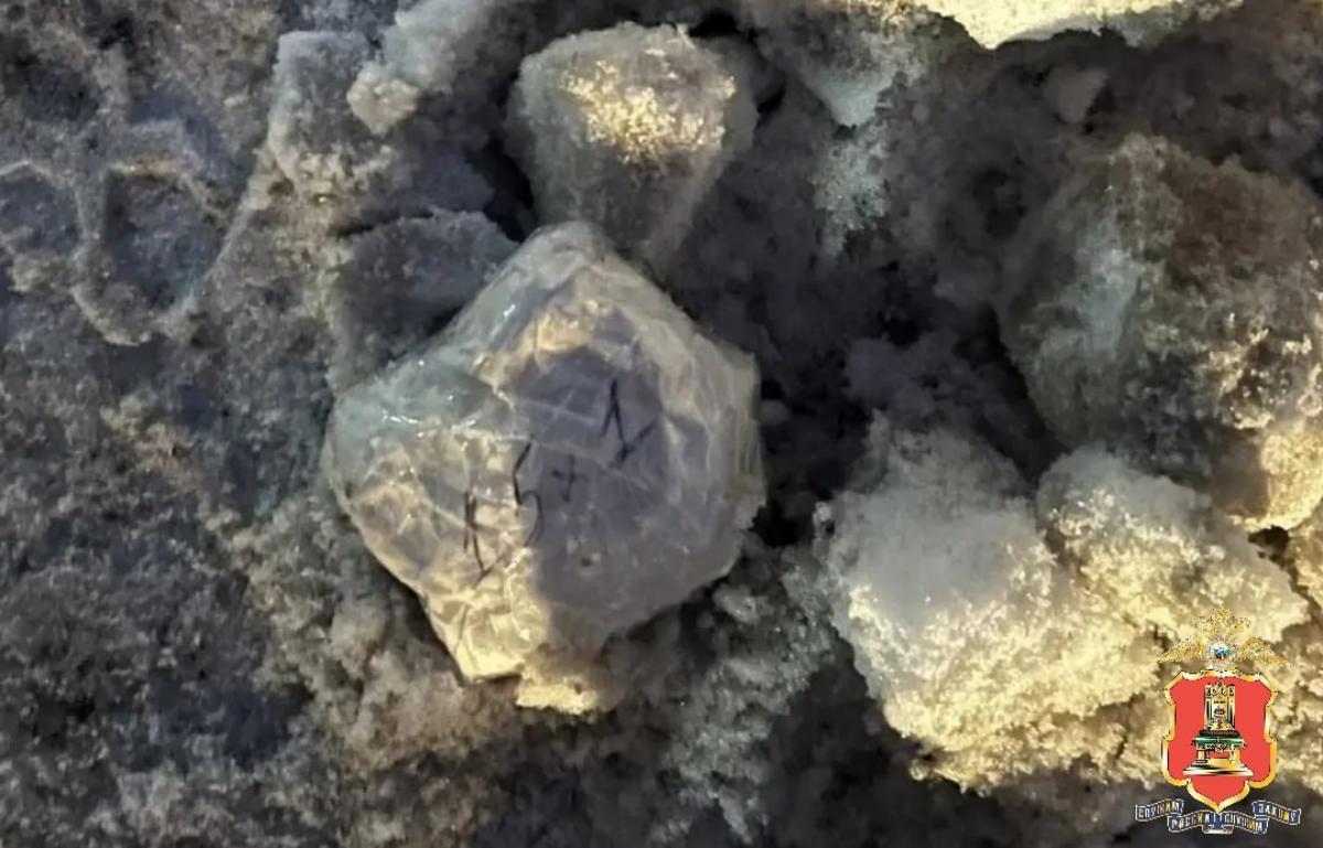 Наркозакладчика задержали в такси по пути в Старицу Фото: УМВД Тверской области