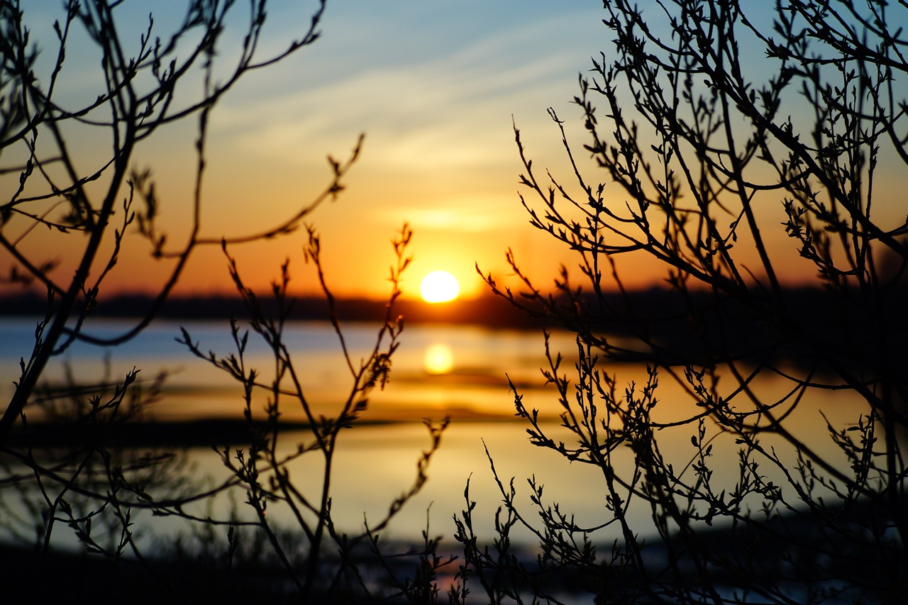 Прогноз погоды в Твери обещает тепло и дожди до ноября