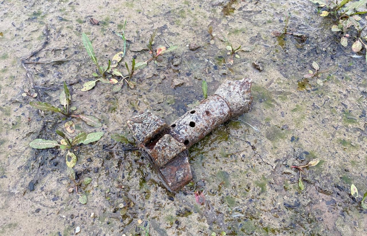 Останки двух советских солдат подняли поисковики под Зубцовом, а на островке в Вазузе — нашли немца - новости Афанасий