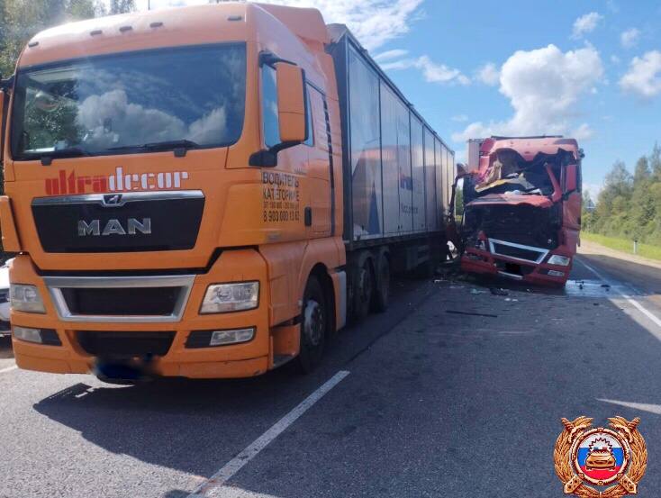 На М9 в Тверской области при столкновении двух фур пострадал человек Фото: ГАИ