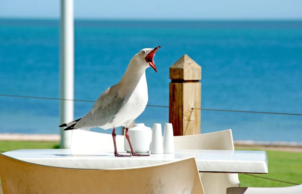 Как не заразиться на пляже, рассказывают врачи - новости Афанасий