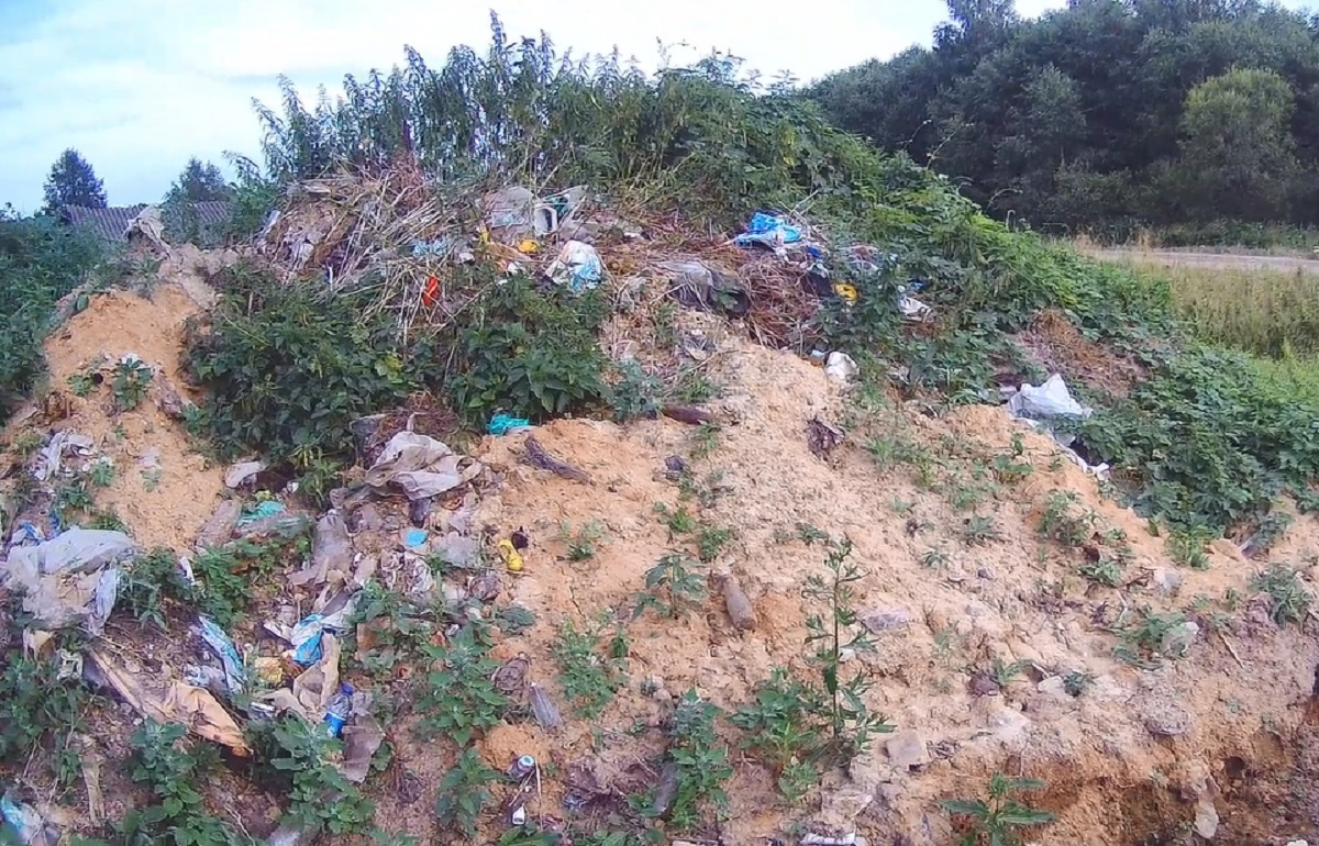 Около деревни в Калязинском районе складировались коммунальные отходы  Фото: Министерство природных ресурсов и экологии Тверской области