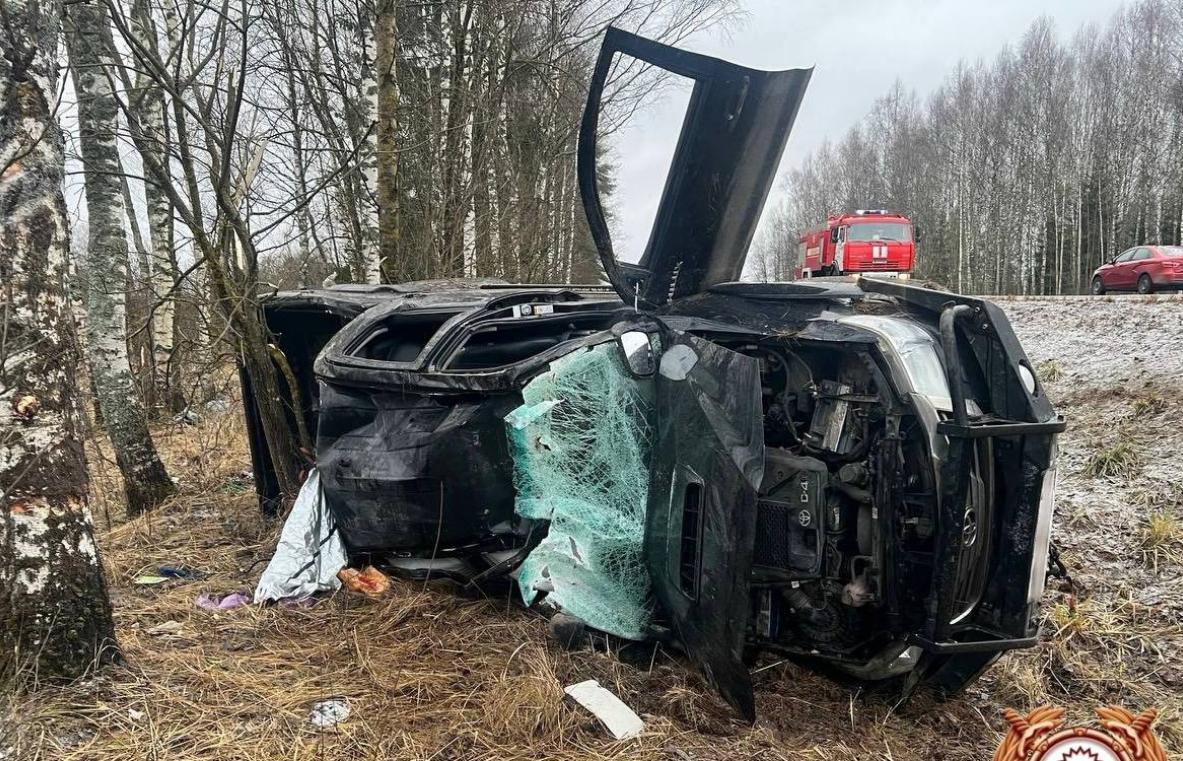 На одном участке М9 в Тверской области два водителя попали в ДТП - новости Афанасий