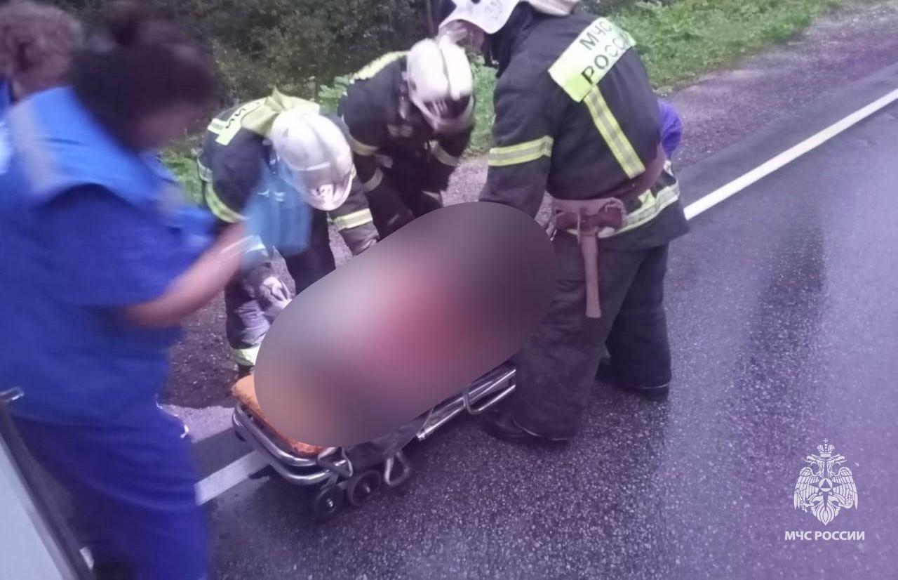 Под Максатихой в вылетевшей с дороге машине пострадал человек - новости Афанасий