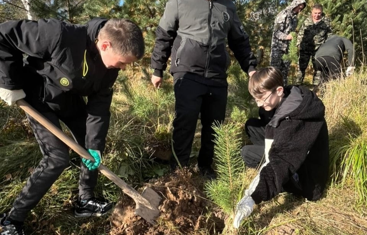 Более 507 тыс саженцев и сеянцев деревьев высажено в Тверской области - новости Афанасий