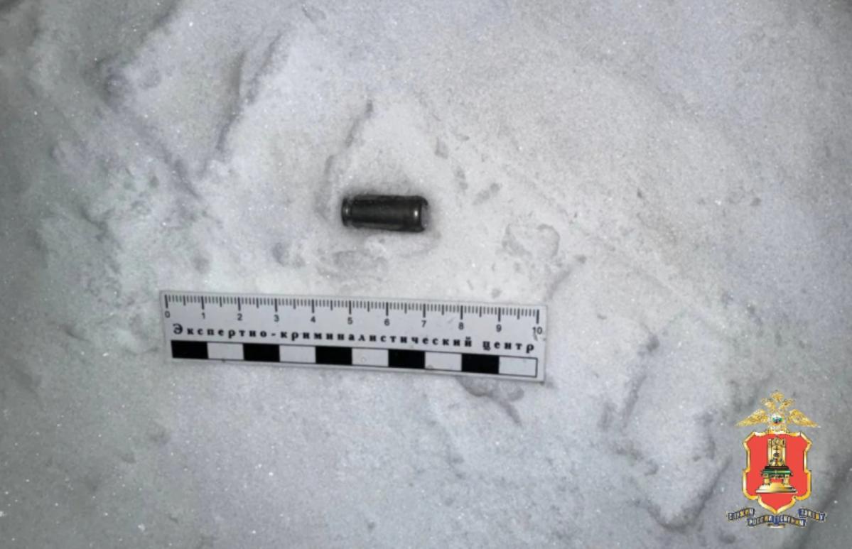 В Бежецке водитель не смог проехать по нечищеной дороге и открыл стрельбу - новости Афанасий