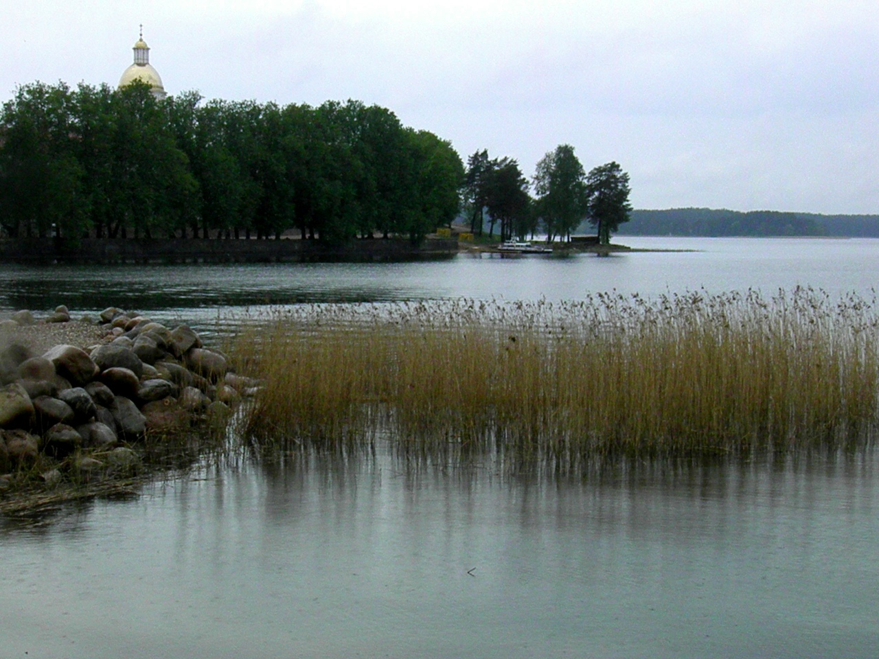 Селигер будут расчищать в 2026 году Фото: Марина Гавришенко