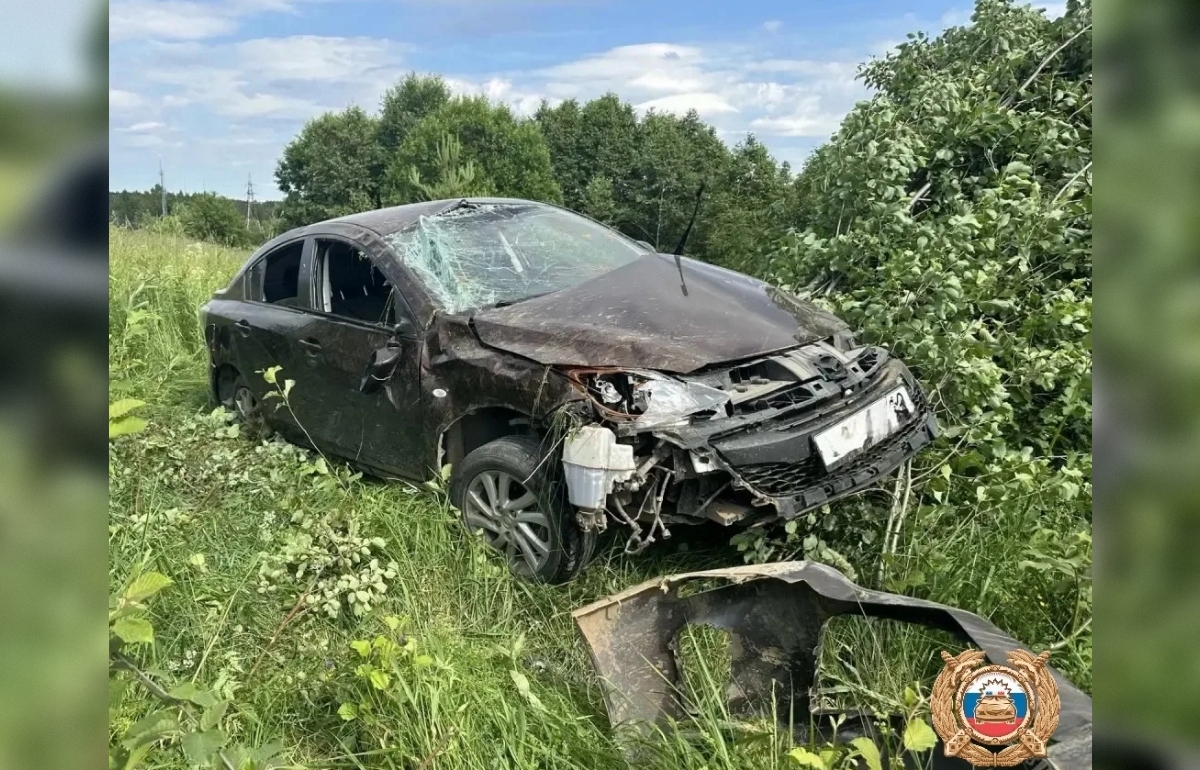 В Весьегонском районе нетрезвый водитель налетел на дерево - новости Афанасий