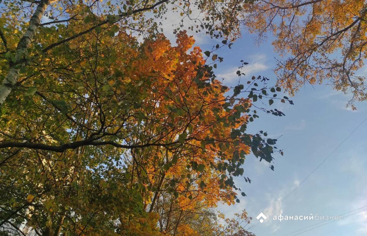Сегодня в Твери преимущественно пасмурно, но чуть теплее
