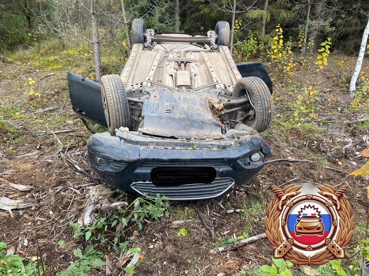 Появились фото ДТП в Бологовском округе, где машина опрокинулась в кювет Фото: Госавтоинспекция Бологовского округа