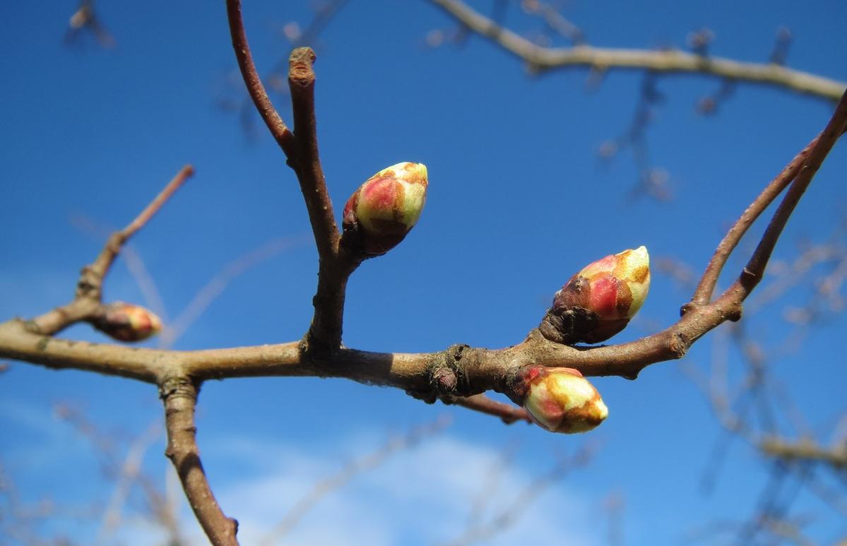 Прогноз погоды в Твери: южный циклон принесет грозу Photo by form PxHere