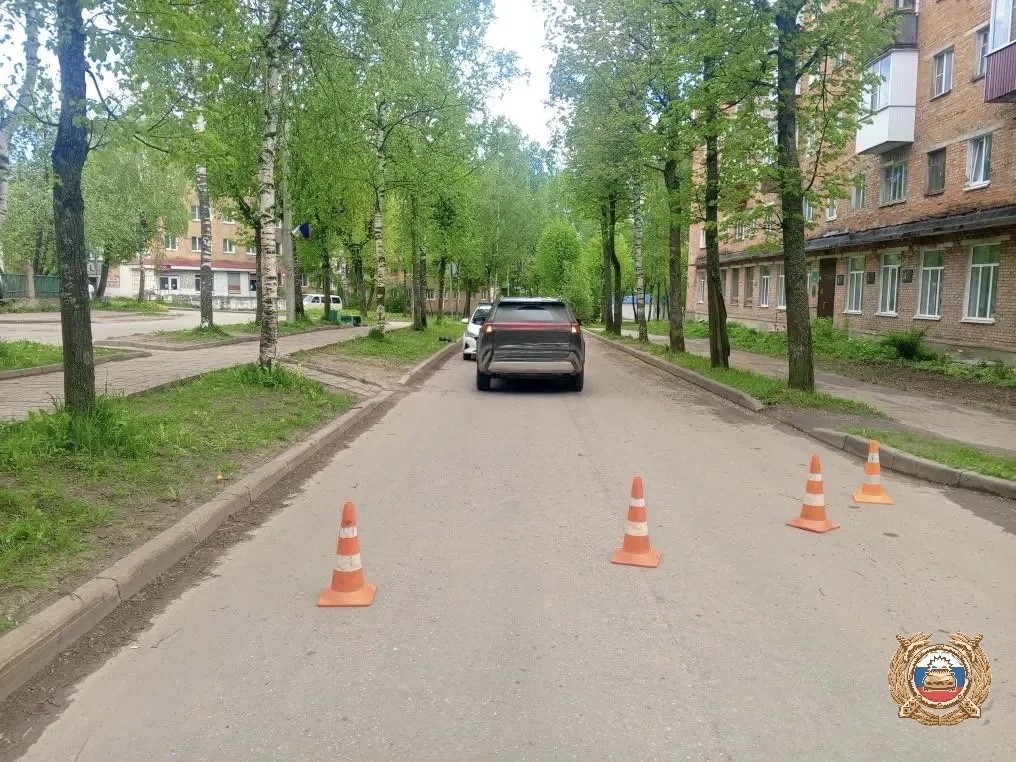 В Нелидово Тверской области 11-летний пешеход попал под машину Фото: ГАИ