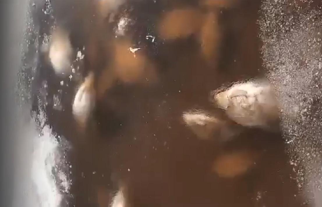 Рыбаки сообщают о массовой гибели рыбы на Мологе в Тверской области - новости Афанасий