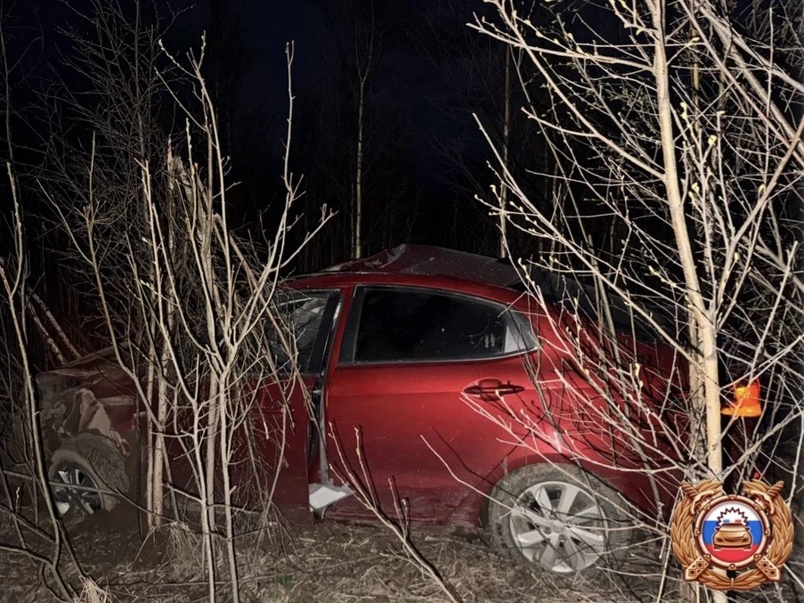 В ДТП из-за лося на М9 в Тверской области пострадали водитель и пассажир Фото: ГАИ