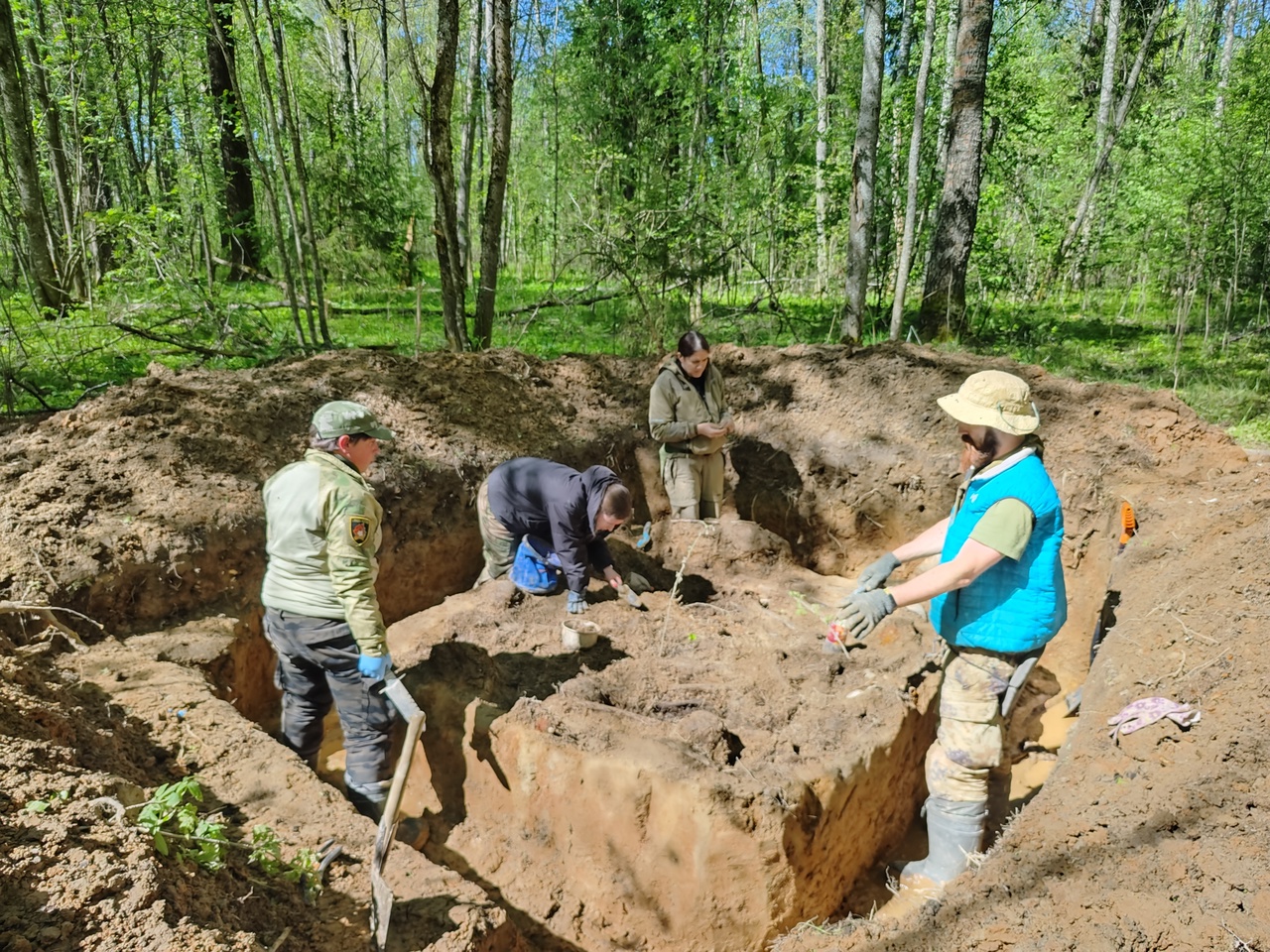 Из санитарного захоронения в Бельском районе достали останки 14 бойцов - новости Афанасий