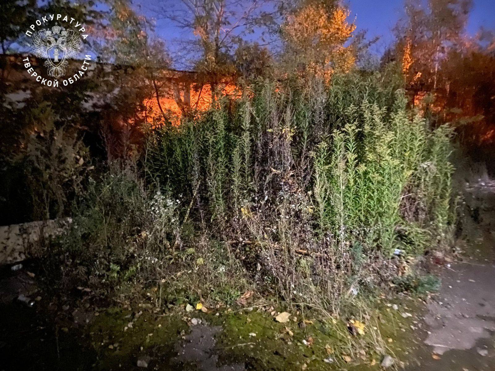 В Твери по факту гибели подростка на Коминтерна возбуждено уголовное дело Фото: прокуратура Тверской области