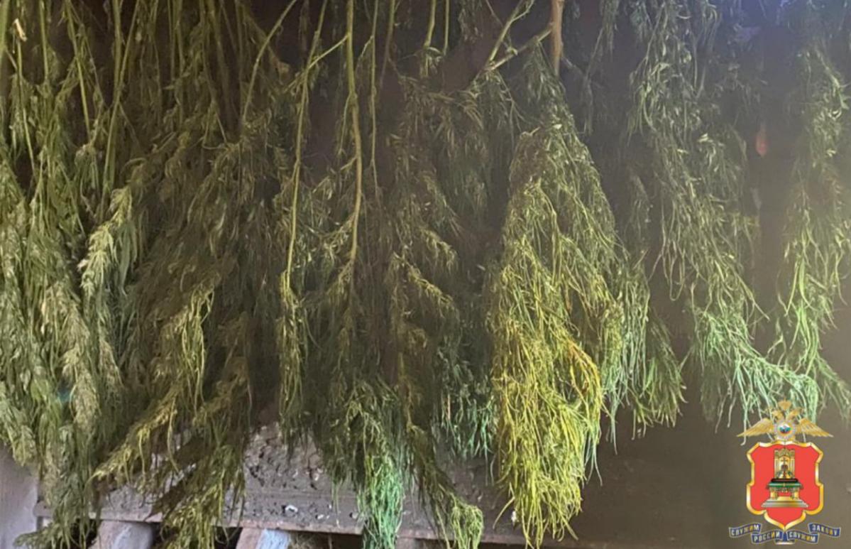 Житель Зубцовского округа признался, что хранил почти 2 килограмма конопли для себя - новости Афанасий