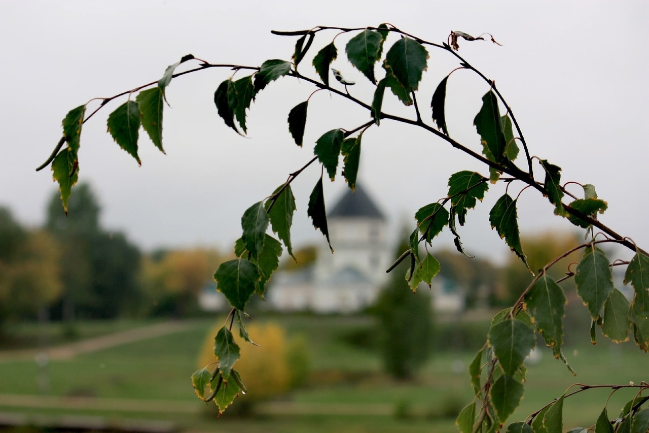 Погода в Твери сегодня: начало недели будет прохладным Фото: архив Afanasy.biz