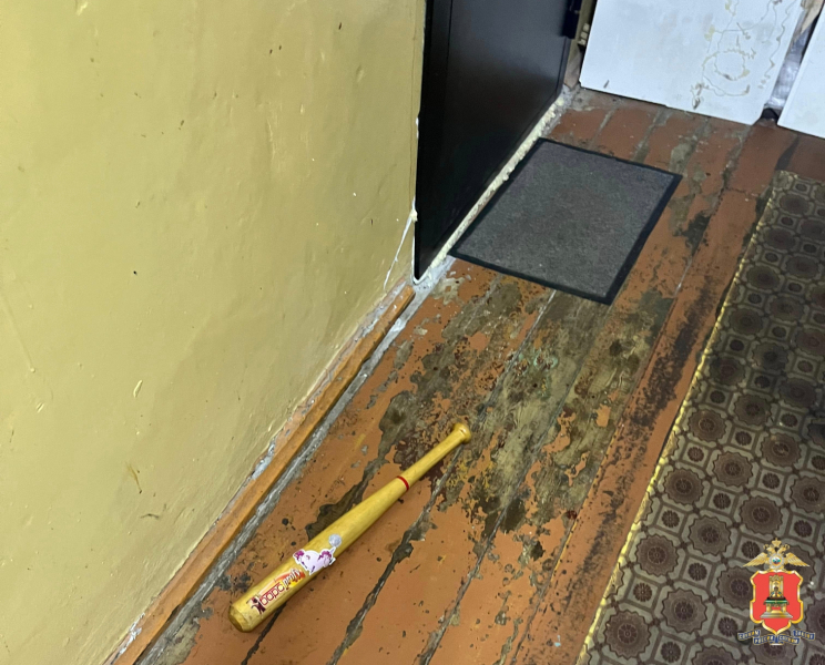 Жителя Конаково избили его же битой Фото: УМВД по Тверской области