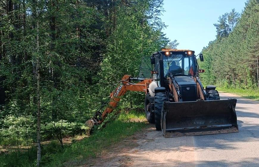 В Тверской области перекопали съезды к заказнику «Троеручица» - новости Афанасий
