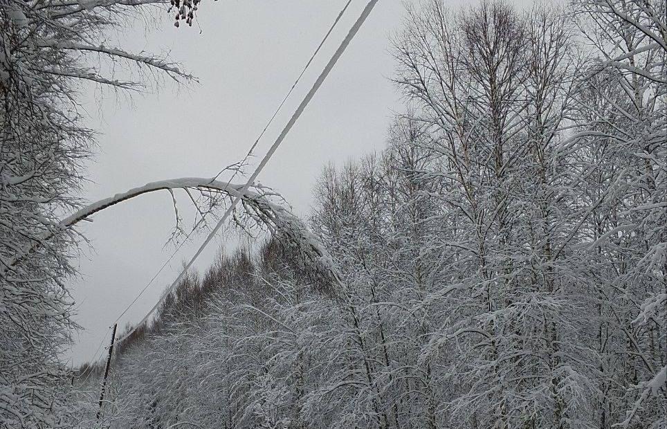 В Тверской области восстанавливают электроснабжение после снегопада 
