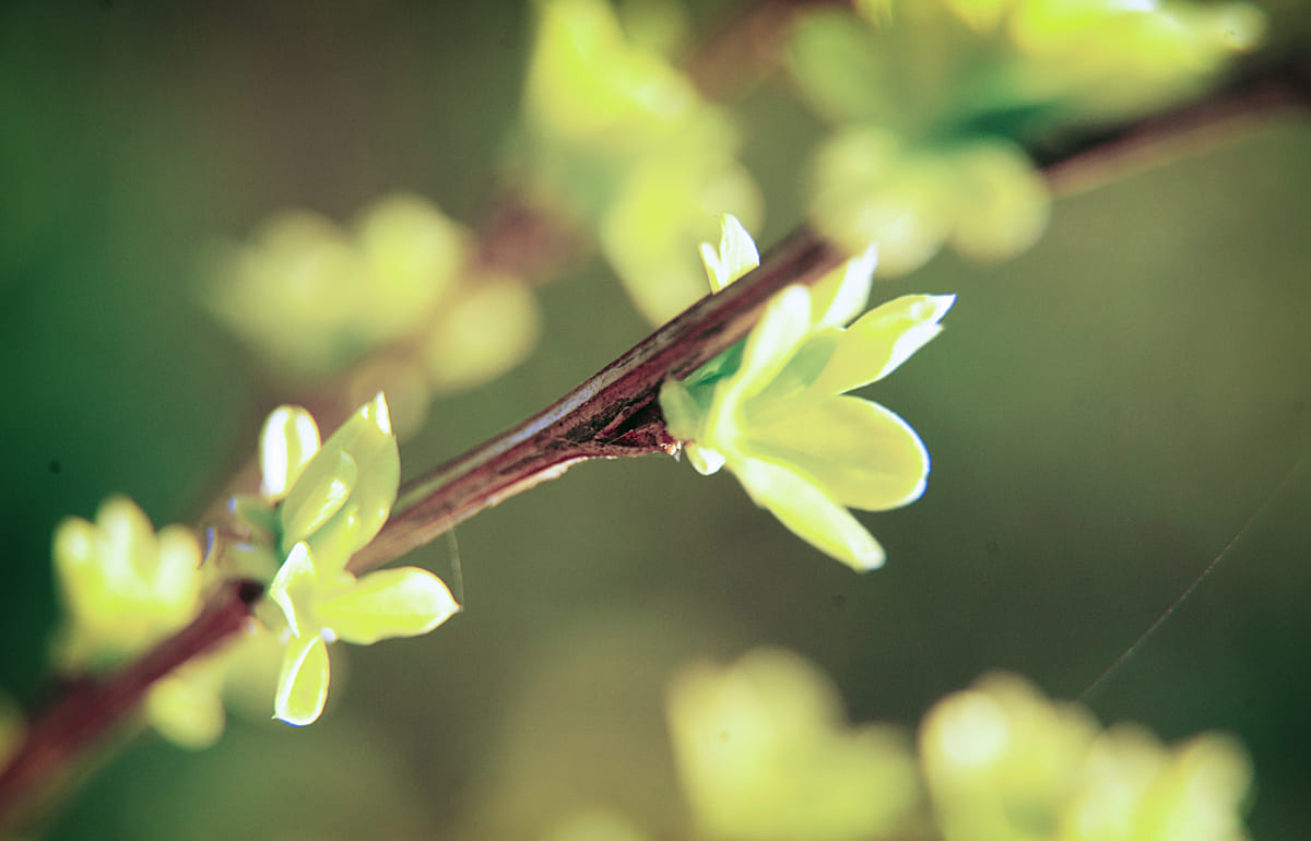 Сегодня в Твери все еще холодно и ветрено Фото: Afanasy.biz