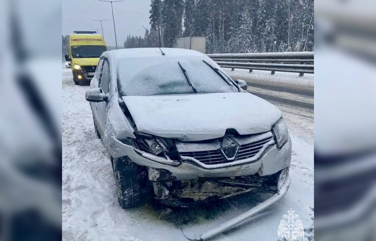 В ДТП под Спирово пострадал годовалый ребенок Фото: МЧС по Тверской области