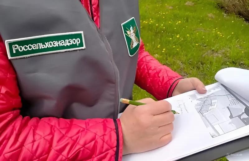 Специалисты Россельхознадзора проведут горячую линию и ответят на вопросы по фитосанитарному контролю Фото: Россельхознадзор по Тверской области
